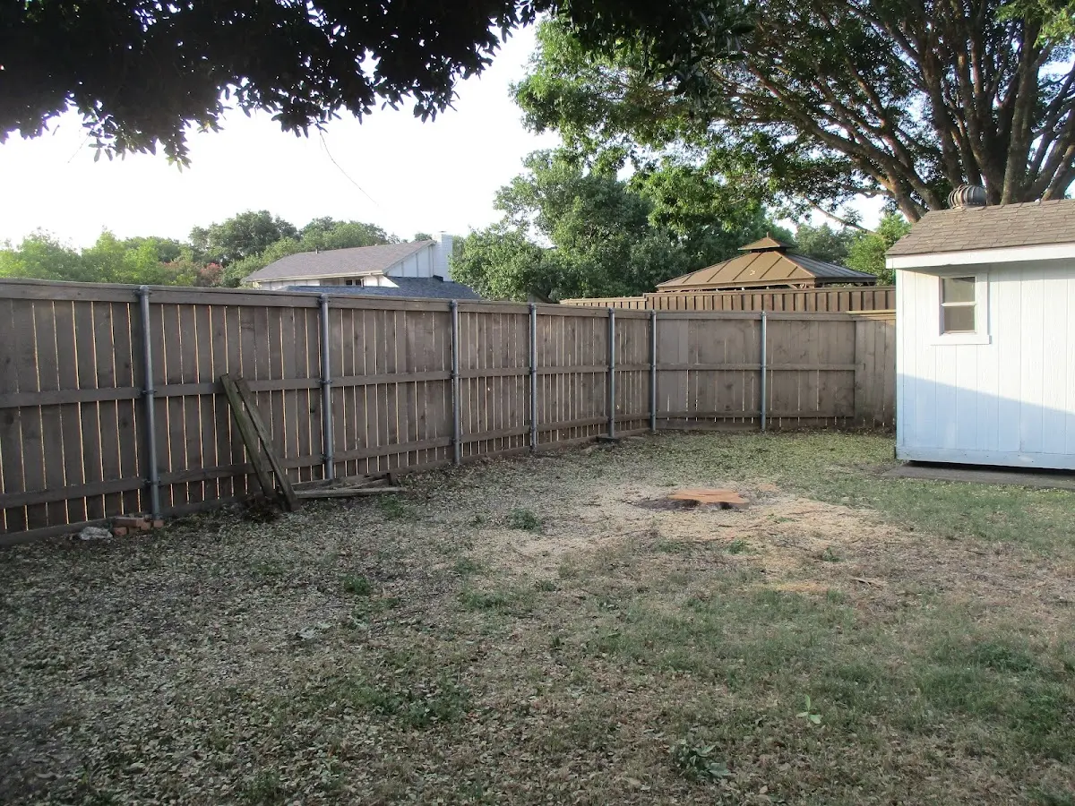 Cleared yard after professional tree removal in East Butler